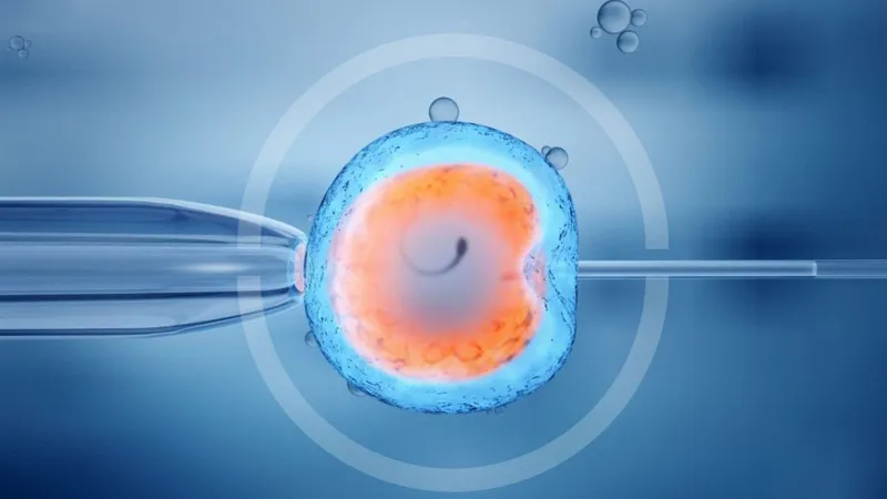 Theo dõi tuổi thai nhi khi thực hiện thụ tinh ống nghiệm (IVF)