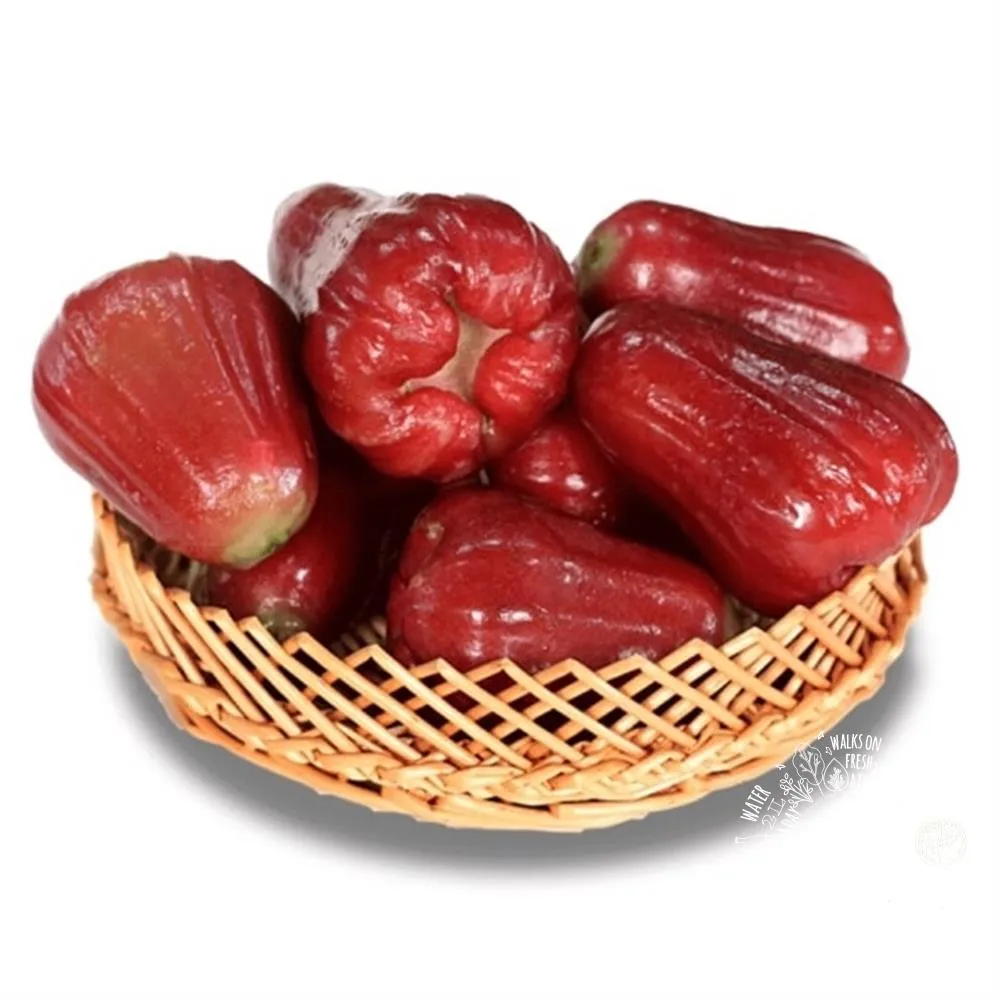 Quả mận miền Nam tươi ngon