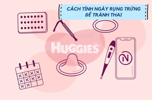 Lịch theo dõi chu kỳ kinh nguyệt minh họa các ngày an toàn và ngày nguy hiểm (dễ thụ thai) dựa trên việc tính ngày rụng trứng