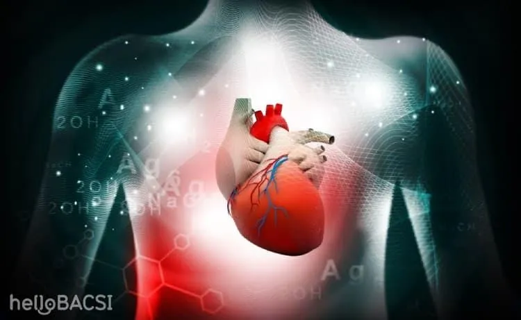 Cây cỏ mực tốt cho tim mạch