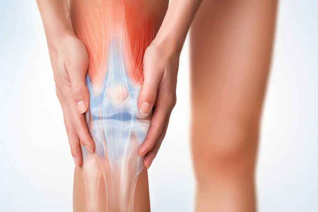 Tác dụng chống viêm của cây xuyến chi trong y học cổ truyền
