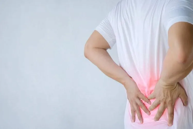 Cây xương khỉ hỗ trợ điều trị đau nhức xương khớp, gai cột sống