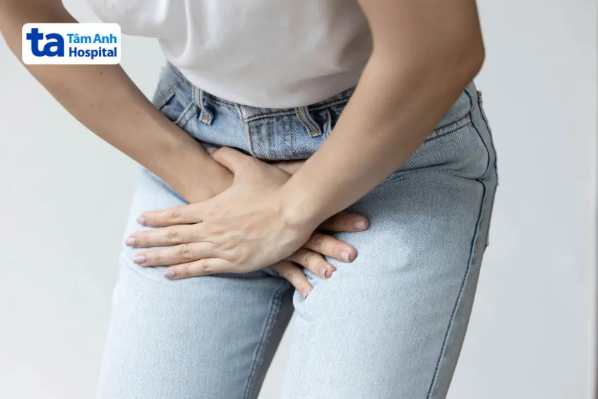 Thuốc Domitazol được sử dụng để điều trị nhiễm trùng đường tiết niệu không biến chứng