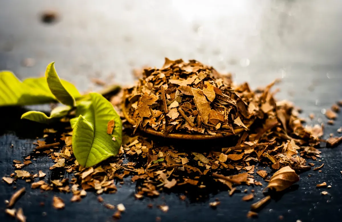 Lá ổi tươi và nước lá ổi đã đun, minh họa cách nấu nước lá ổi.