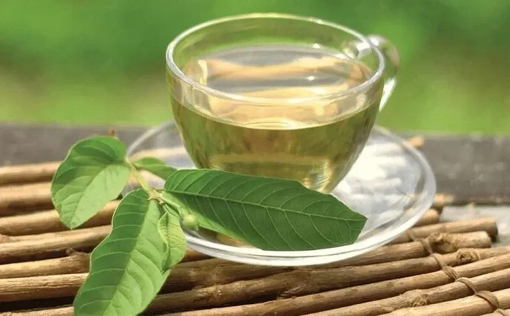 Uống nước lá ổi hàng ngày có thể hỗ trợ kiểm soát cân nặng và giảm cân hiệu quả.