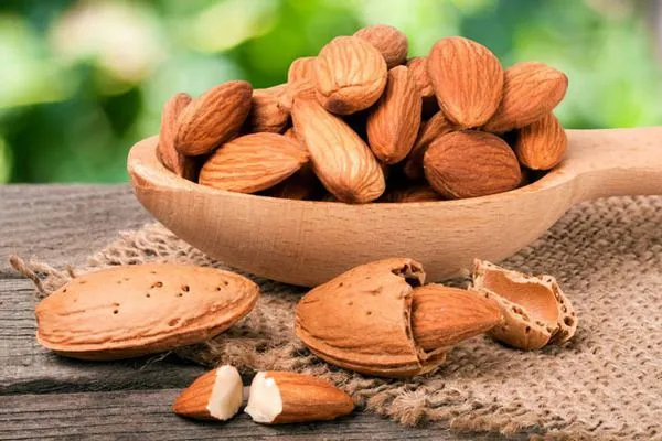 Hạnh nhân chứa Vitamin E và Biotin nuôi dưỡng tóc