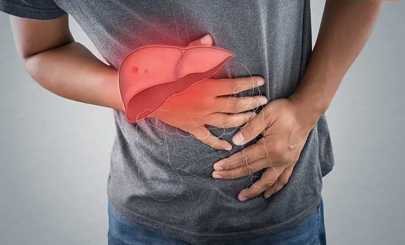 Nước sắc cây nhân trần hỗ trợ chức năng gan, giải độc cơ thể hiệu quả.