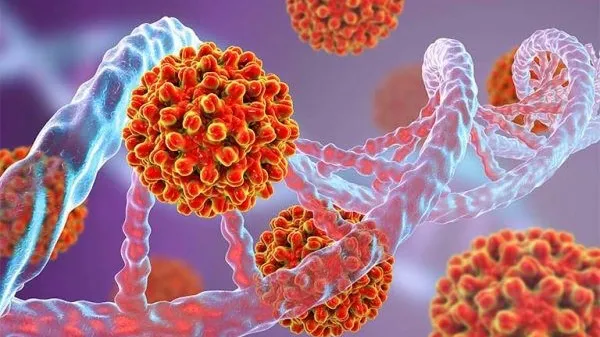 Hình ảnh minh họa lá gan và virus HBV, tác nhân gây bệnh viêm gan B