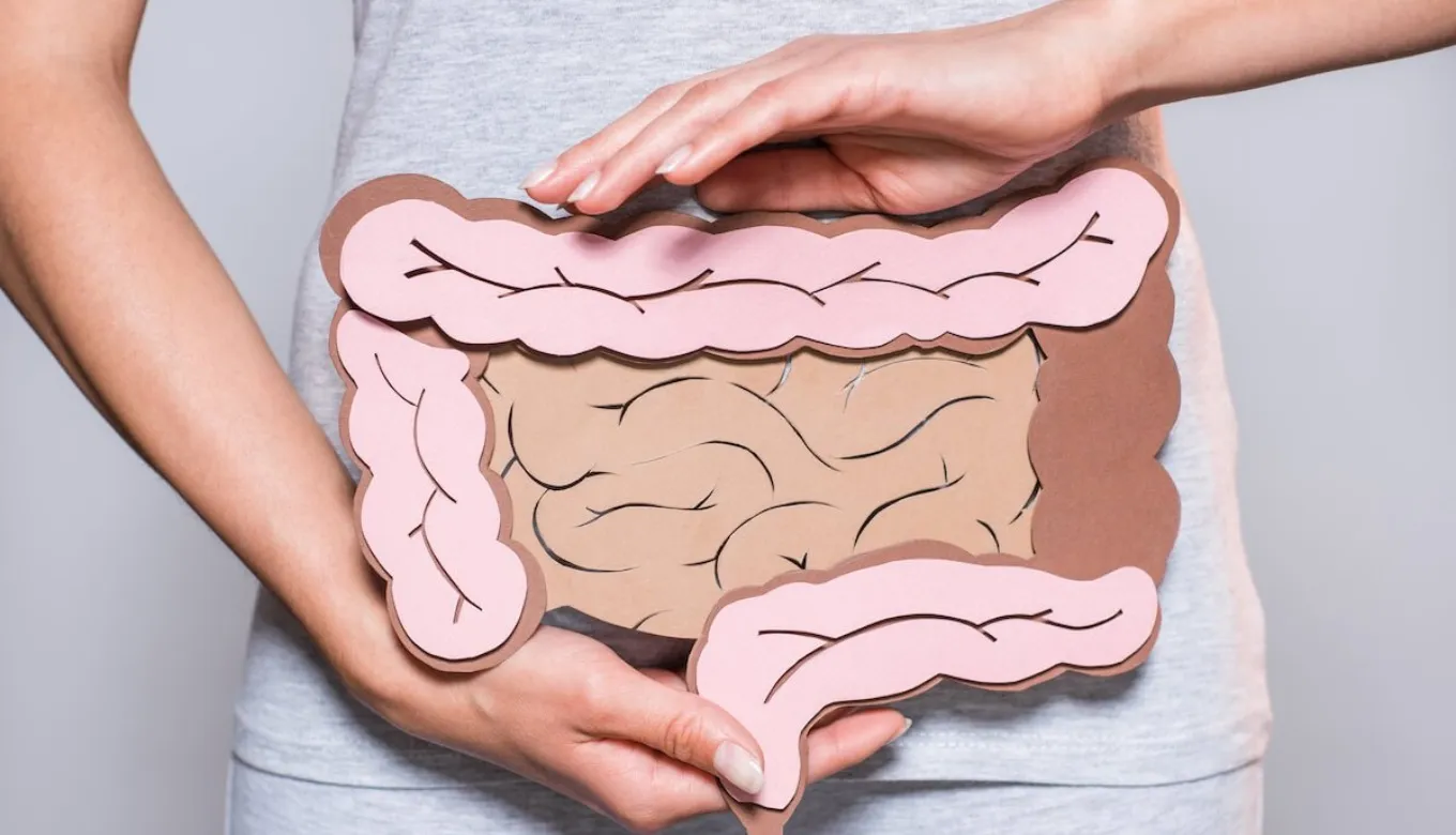 Hệ tiêu hóa khỏe mạnh nhờ chế độ ăn cân bằng