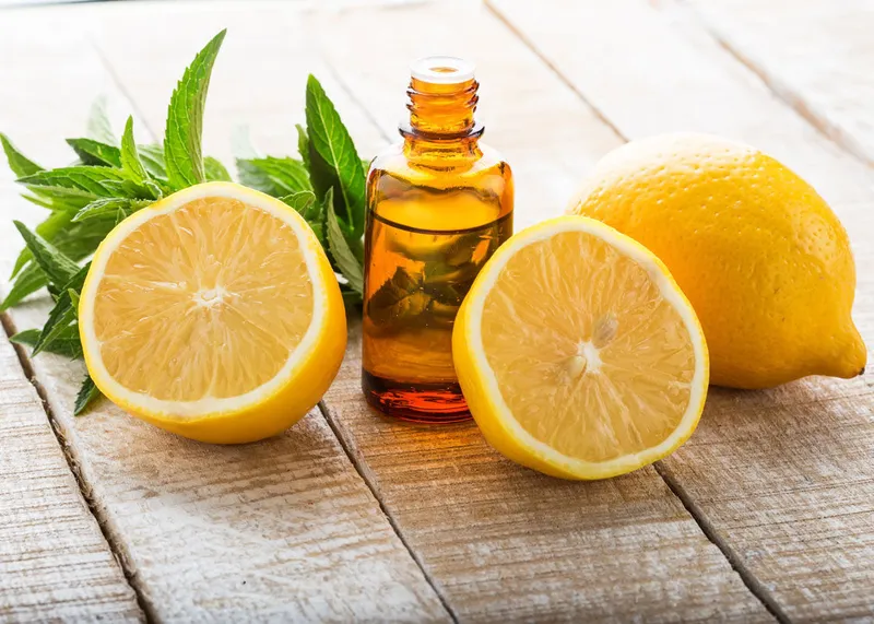 Các lát chanh tươi, nguyên liệu chính để làm tinh dầu chanh hỗ trợ giảm cân