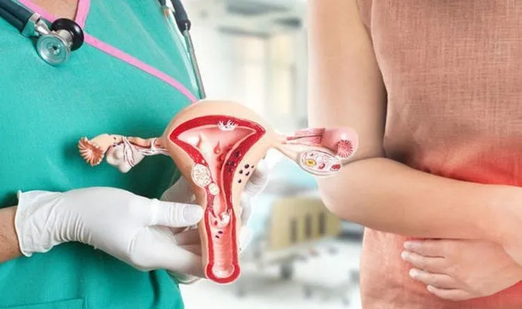 Lá cây bạch hoa xà được sử dụng trong một số bài thuốc hỗ trợ điều trị ung thư cổ tử cung theo y học cổ truyền.