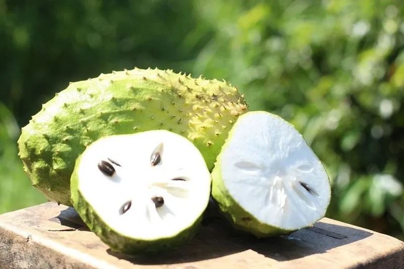 Lợi ích làm đẹp da của mãng cầu nhờ vitamin C