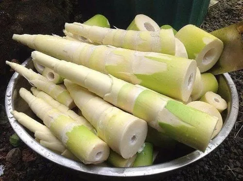 Hình ảnh: Thai phụ khỏe mạnh với chế độ ăn uống đa dạng, bao gồm cả măng chế biến đúng cách