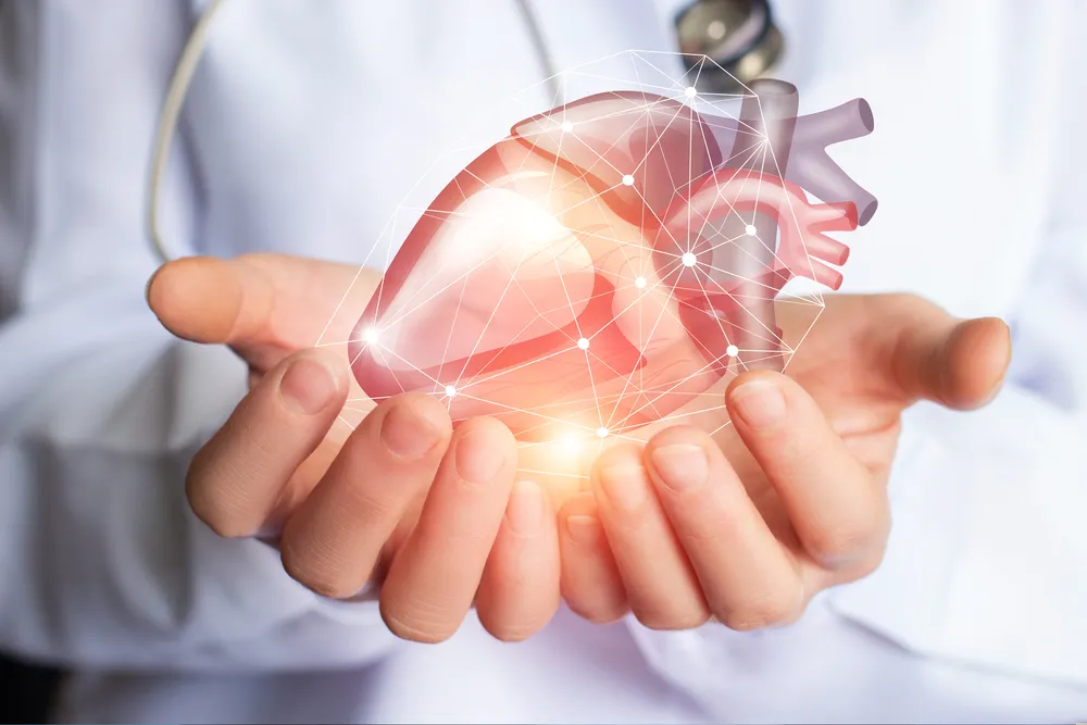 Thực phẩm tốt cho tim mạch như quả óc chó và các loại đậu