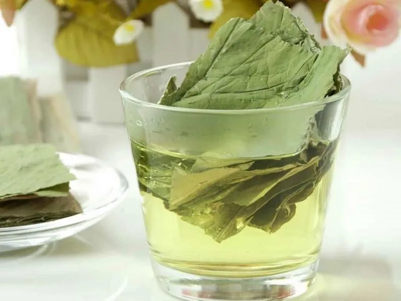 Sử dụng lá sen là phương pháp dân gian trị mỡ máu được lưu truyền từ lâu đời